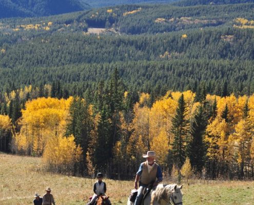 Moose Mountain Horseback Adventures